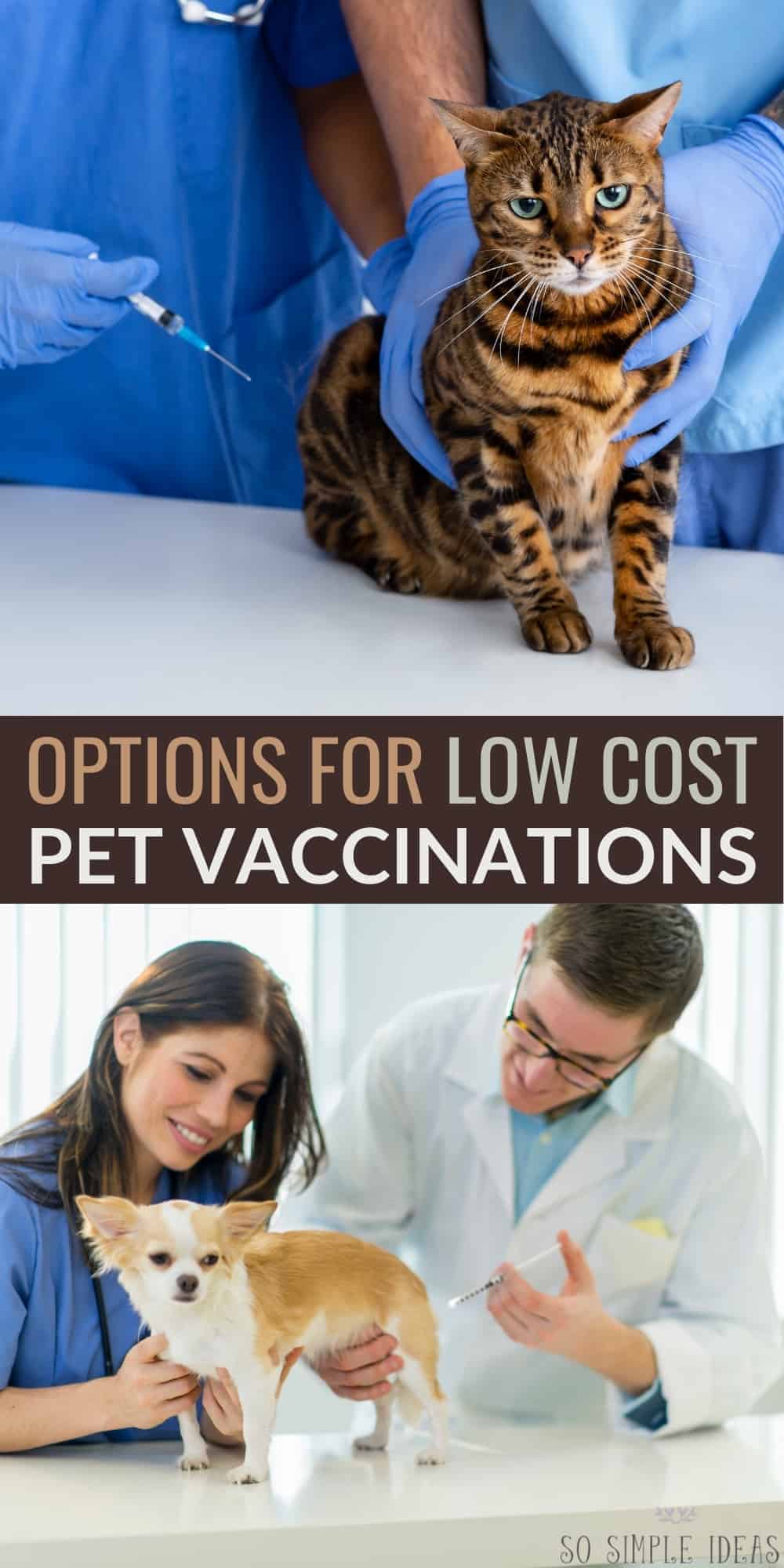 Low Cost Pet Vaccinations at Walgreens & Petco So Simple Ideas