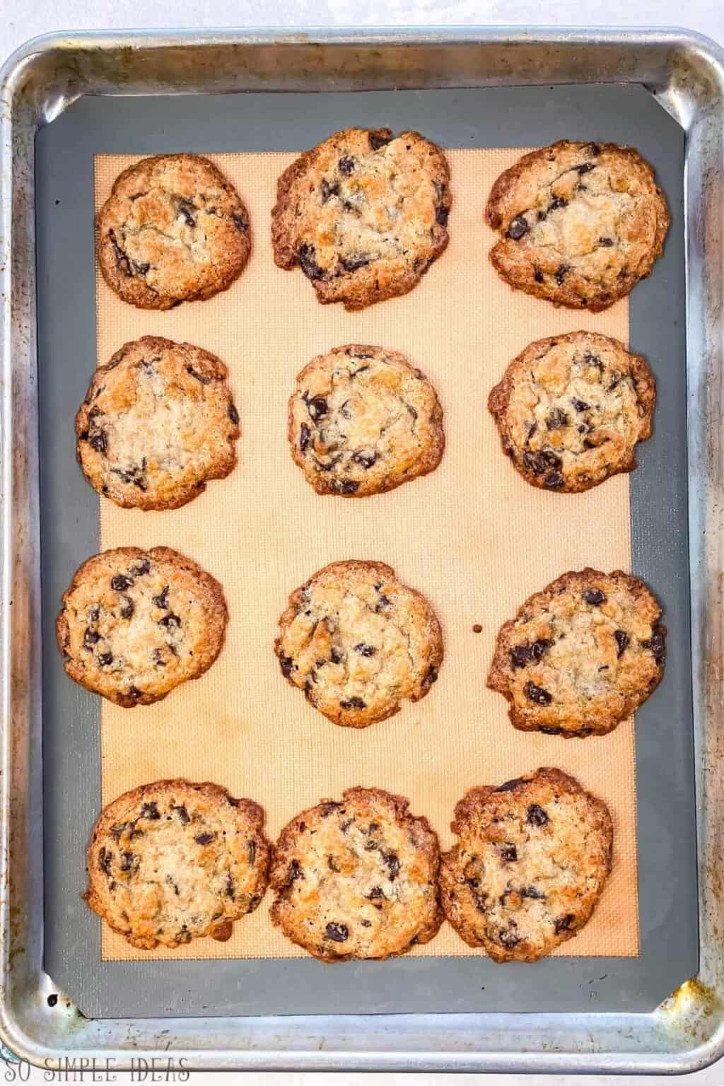 Carbquik Chocolate Chip Cookies So Simple Ideas