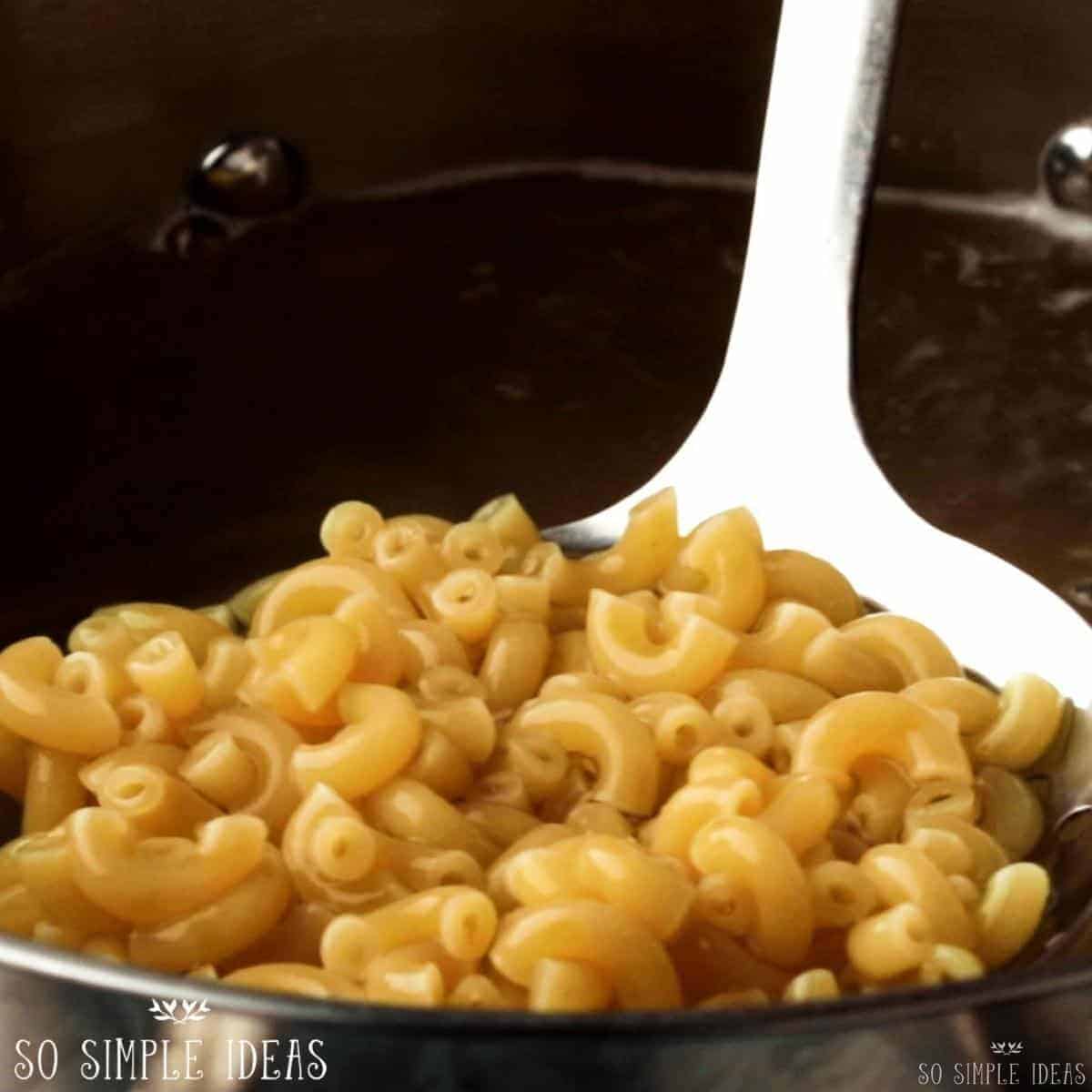 draining cooked macaroni.