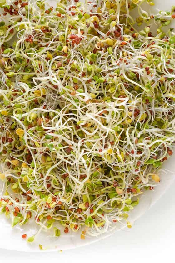 sprouts on white plate.
