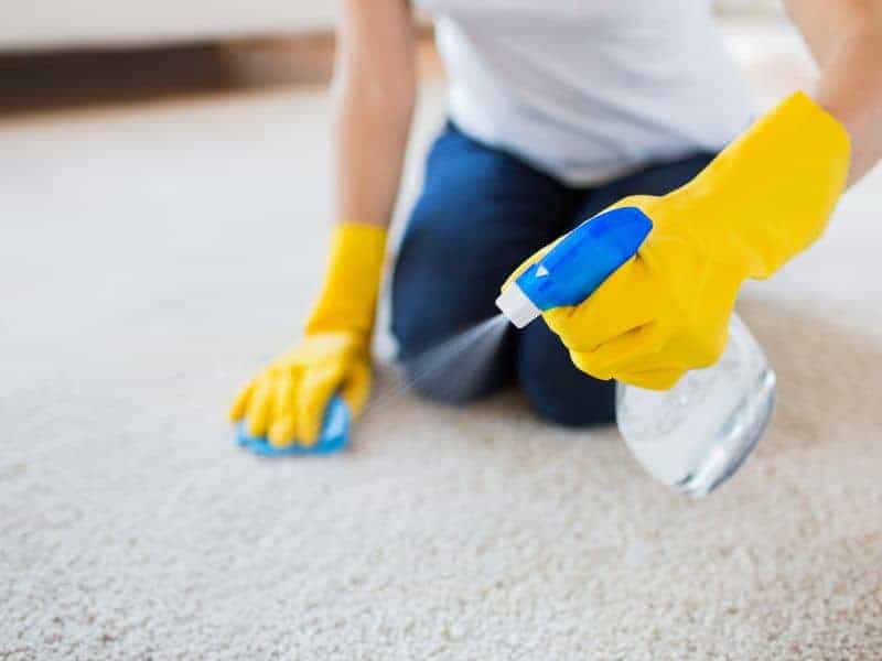 spraying vinegar cleaner on carpet.