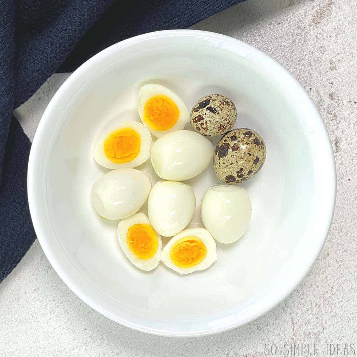 quail eggs hard boiled in a small white bowl.