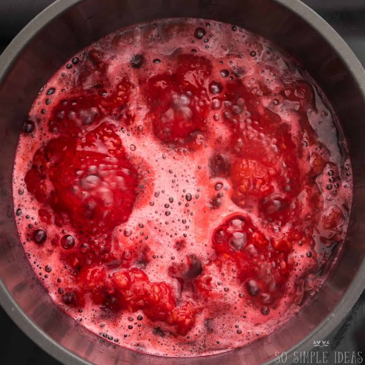 simmering the compote ingredients in saucepan.