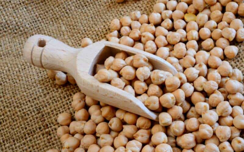 chickpeas with scoop meaure.